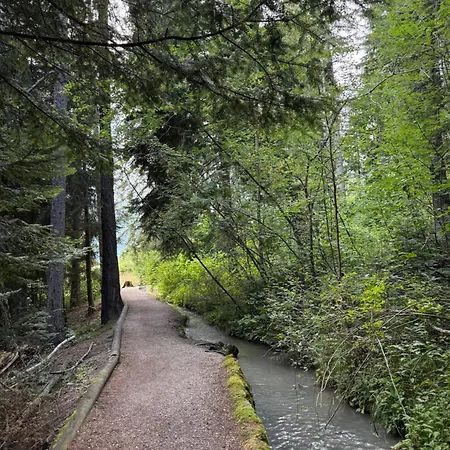 Crans-montana 公寓